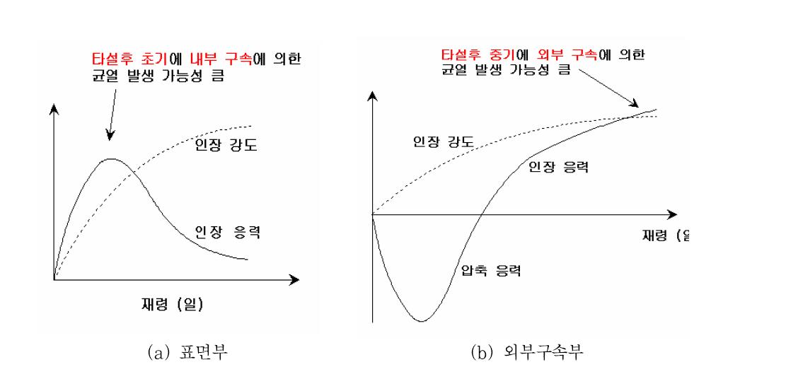 수화열 및 구속에 의한 응력 발현 형태