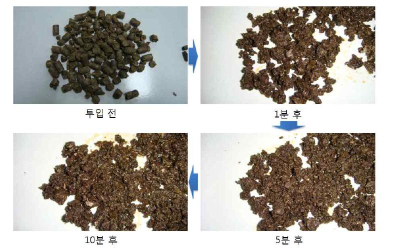 아스콘셀의 분산 시험