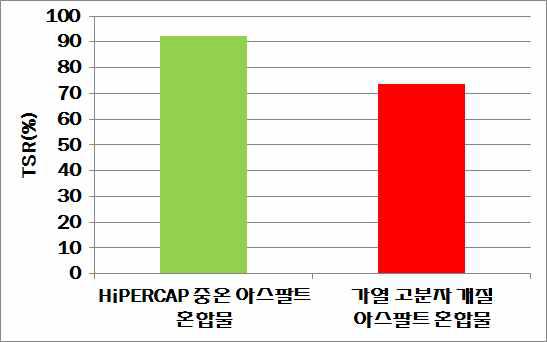 TSR 시험결과