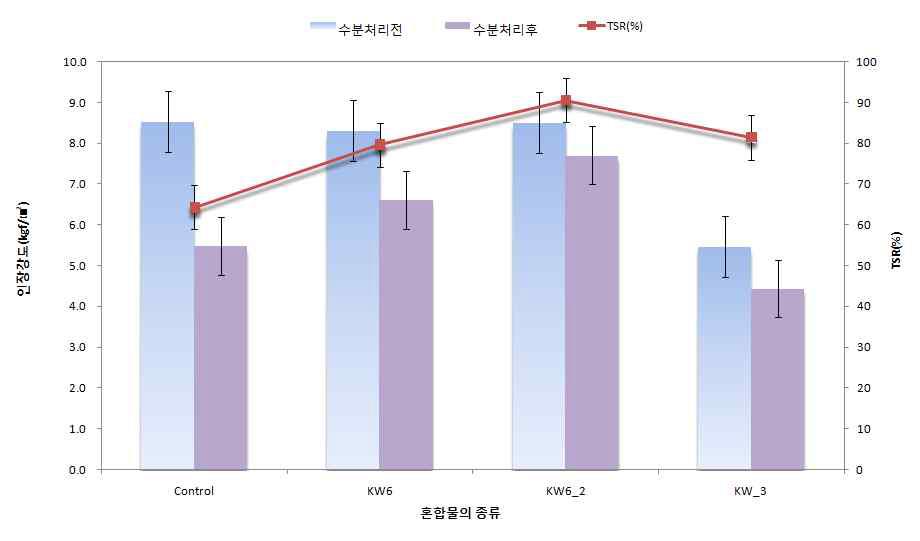 수정 Lottman 시험 결과