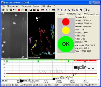 Daphnia on-line Toximeter의 물벼룩 행동 분석 화면