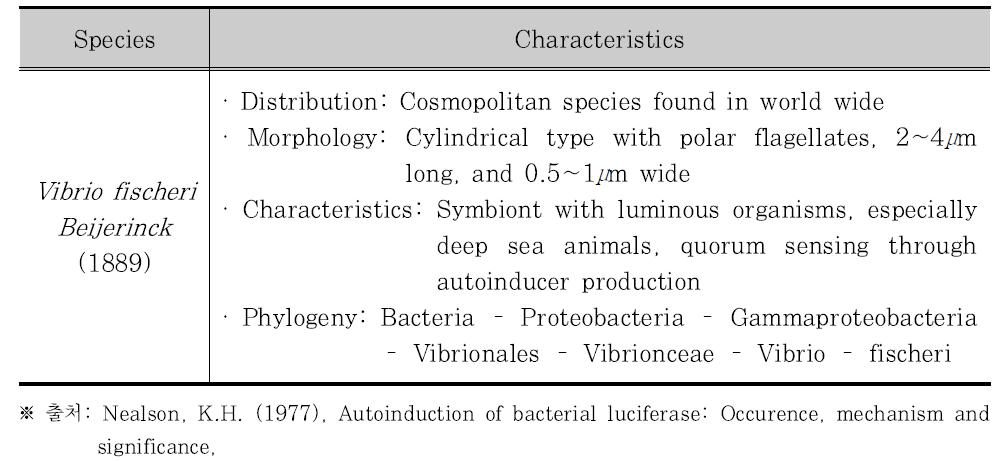 발광박테리아, Vibrio fischeri