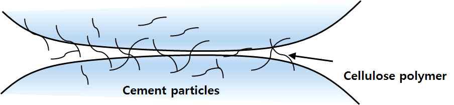 시멘트 입자에서 셀룰로오스계 고분자의 점도 개념도