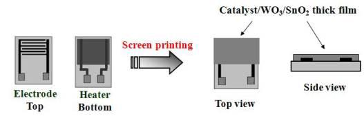 WO3-SnO2 후막 가스센서 제작 과정