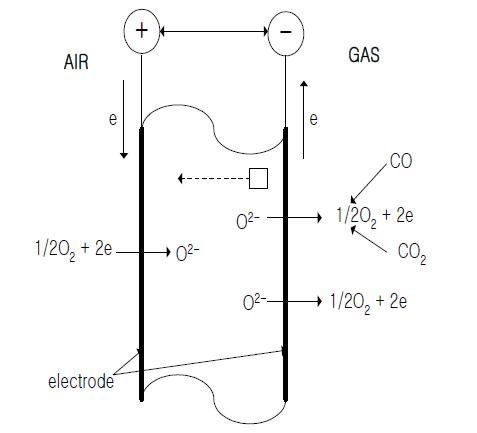 고체 전해질 형 O2센서의 가스 감지 원리