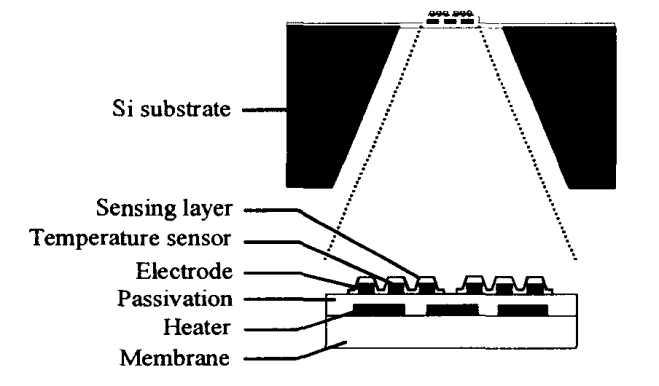 박막센서 어레이의 단면구조