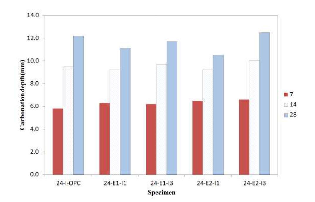 설계기준강도 24 MPa 시험체 중성화 깊이 측정결과