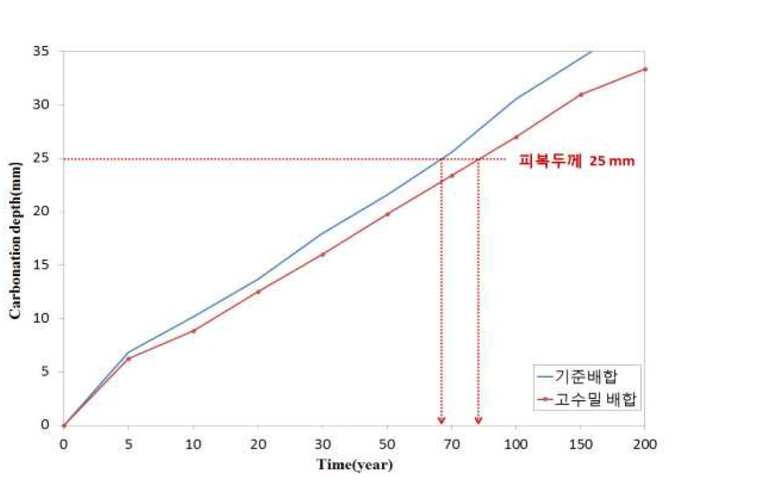 장기재령에 따른 중성화 깊이 예측