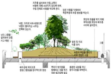 인공지반 상부 식재조성시 고려요소출처: 한국인공지반녹화협회, 인공지반녹화소개,