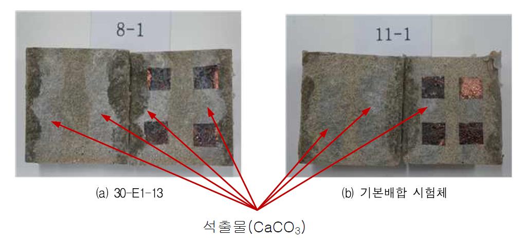 투수시험 완료 후 시험체 단면