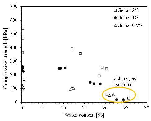 젤란검 함량(0.5%, 1%, 그리고 2%)과 함수비에 따른 압축강도 거동