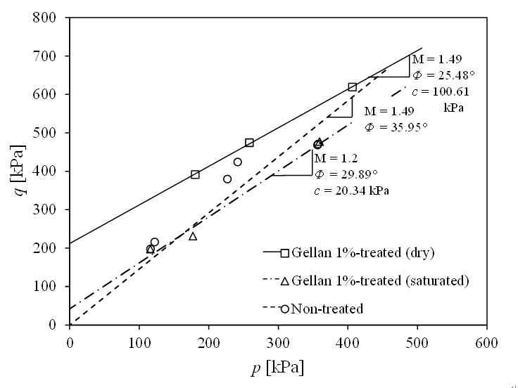 상대밀도(ID: 40%∼58%) 조건에 대한 일반 사질토와 젤란검 1% 처리 사질토의 삼축압축시험 결과로 도출된 p-q 곡선 비교