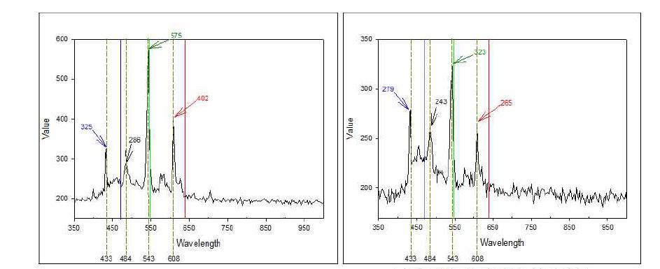 삼파장 광원과 필터 사용 광원의 스펙트럼 비교(첨부)
