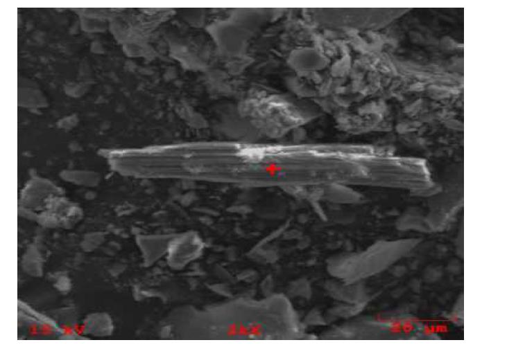 트레몰라이트 석면 분석 사진(SEM)