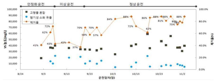 분뇨병합처리(혐기성 소화)의 VS 제거율 변화