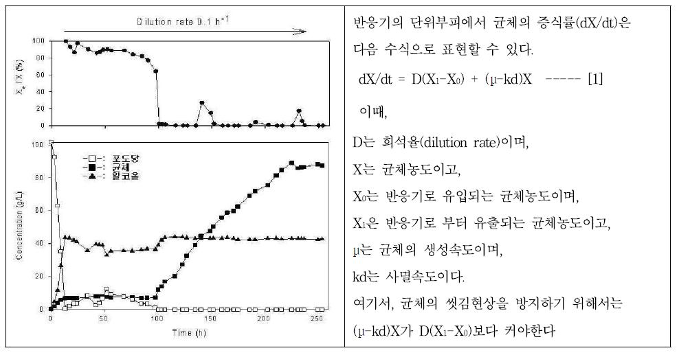 상류충전탑의 세포재순환시험