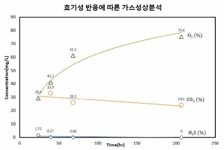 호기성 반응에 따른 가스성상분석