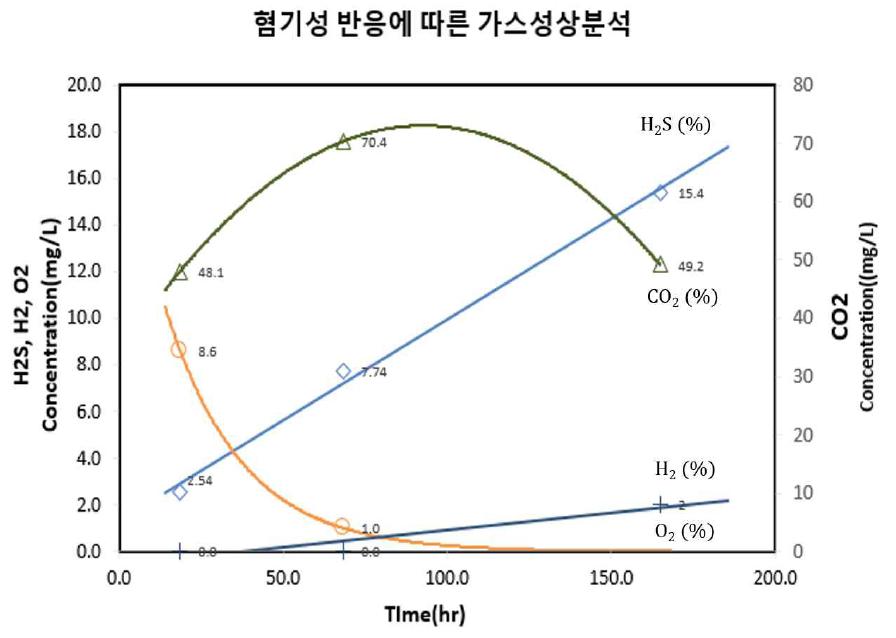 혐기성 반응에 따른 가스성상 분석