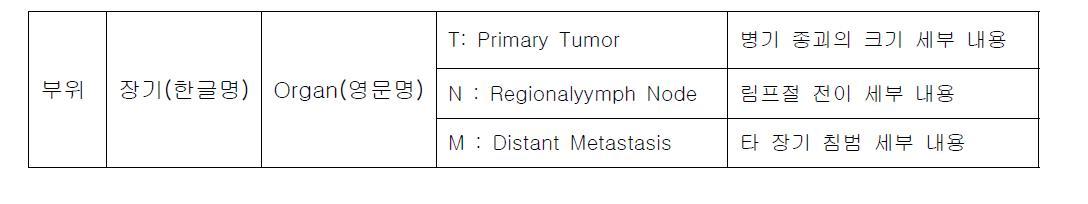 장기 분류 체계에 따른 TNM 세분화 구분