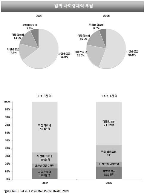 암의 사회경제적 부담율