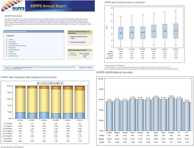 DOPPS annual report 의 3가지 레포트 형식