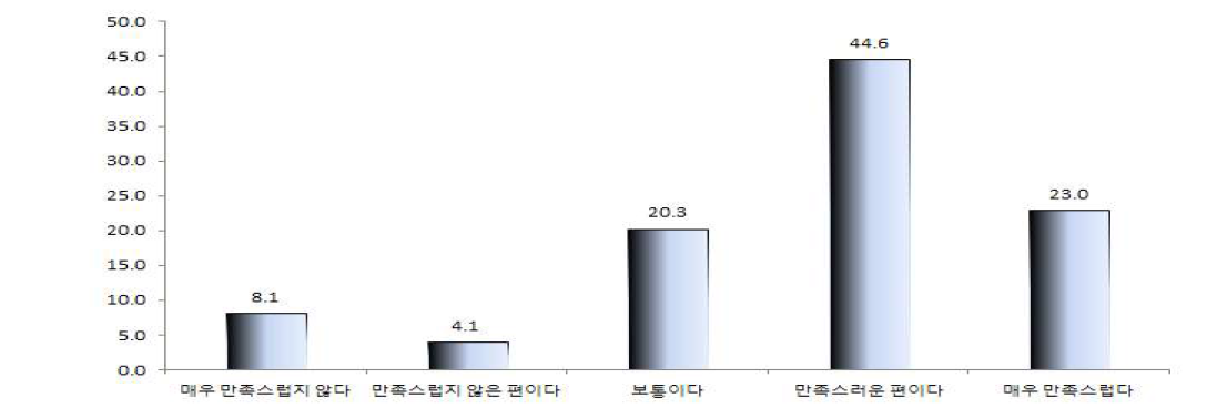 전반적 만족도