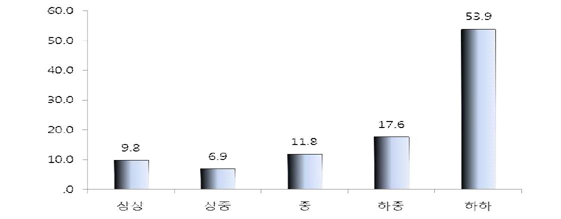 인터넷 사용 수준