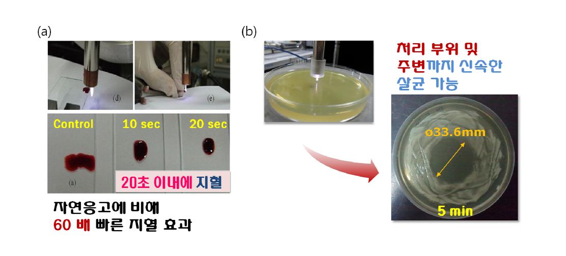 마이크로파 플라즈마 생의학 응용실험: (a)지혈, (b)멸균