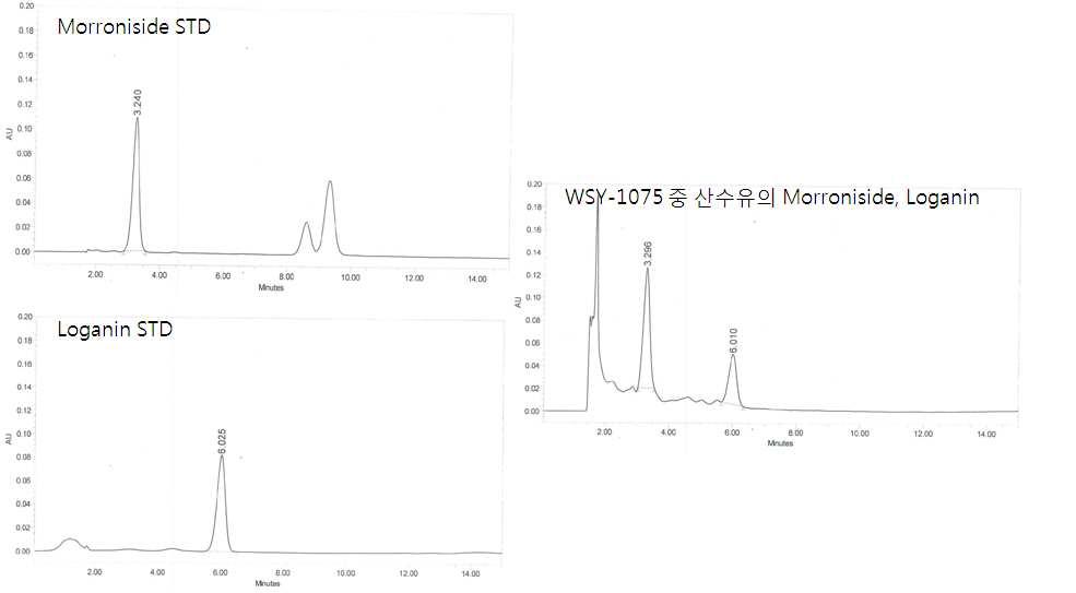 WSY-1075 건조엑스 중 산수유의 morroniside 및 loganin 함량 분석