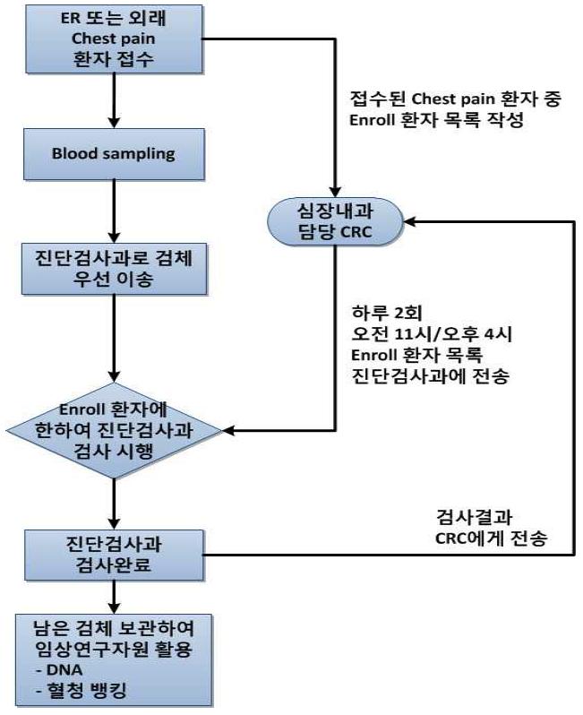 구축된 임상시험 체계