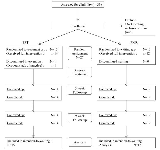 Schematic of the entire EFT and PMR program protocol