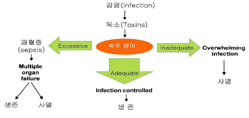 Inflammatory reaction with infection
