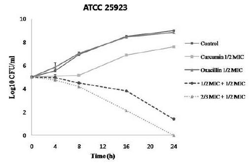 Time- kill curves of Staphylococcus aureus (ATCC 25923) using curcumin