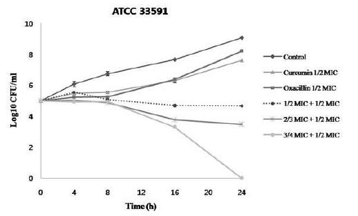 Time- kill curves of Staphylococcus aureus (ATCC 33591) using curcumin