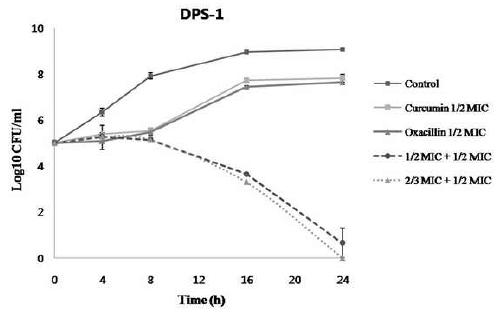 Time-kill curves of Staphylococcus aureus (DPS-1) using curcumin