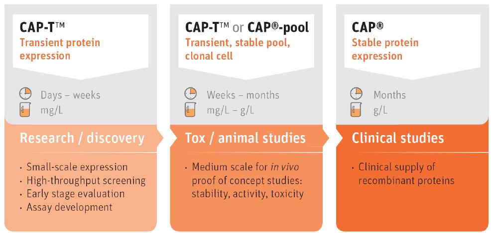 CAP, CAP- T 기술 - 동일한 플랫폼에서 임시발현에서 세포주 개발까지 가능