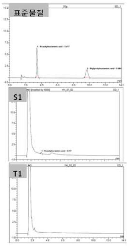 시알산 분석 chromatogram