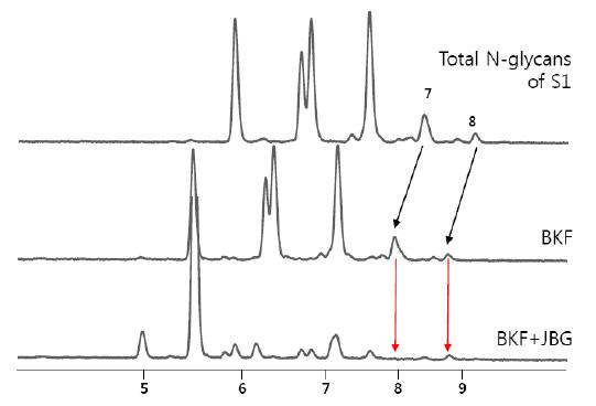 N-glycan 분석을 위한 enzyme array(2)