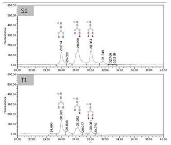 N-glycan 프로필 분석 크로마토그램