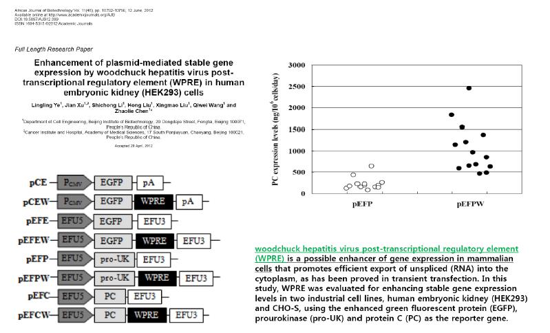 WPRE에 의한 유전자 발현조절 관련 문헌