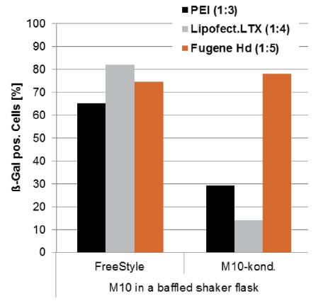 Transfection 시약에 따른 transfection 효율 비교