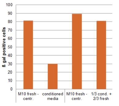 Conditioned 배지에 의한 transfection 효율 비교 평가