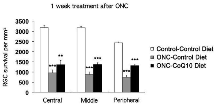 Effect of coenzyme Q10 on RGC survival following optic nerve crush. Quantitative analysis of RGC survival at 1 week after optic nerve crush. Values are mean ± SD (n = 5 retinas/group). ***Significant at P < 0.001 compared with control diet-treated control retinas or control diet-treated ONC retinas; **Significant at P < 0.01 compared with control diet-treated ONC retinas. ONC, optic nerve crush.