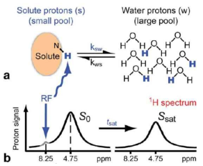 Amide proton transfer (APT) MRI 영상법. 출처: Peter van Zijl, MRM 2011