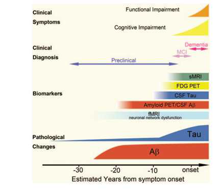 알츠하이머 치매의 임상적진단, 바이오마커, 병리적 변화 관계