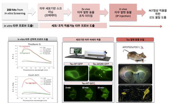 타우 표적 물질 개발을 위한 연구 추진전략 모식도.