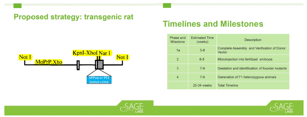 SAGE lab 의 형질 전환 랫트 제작