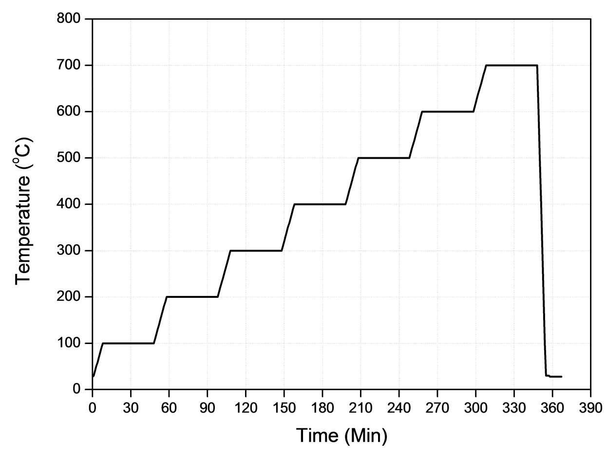 Experimental procedures for the in situ heating TEM experiment in the temperature range from RT to 700 °C.