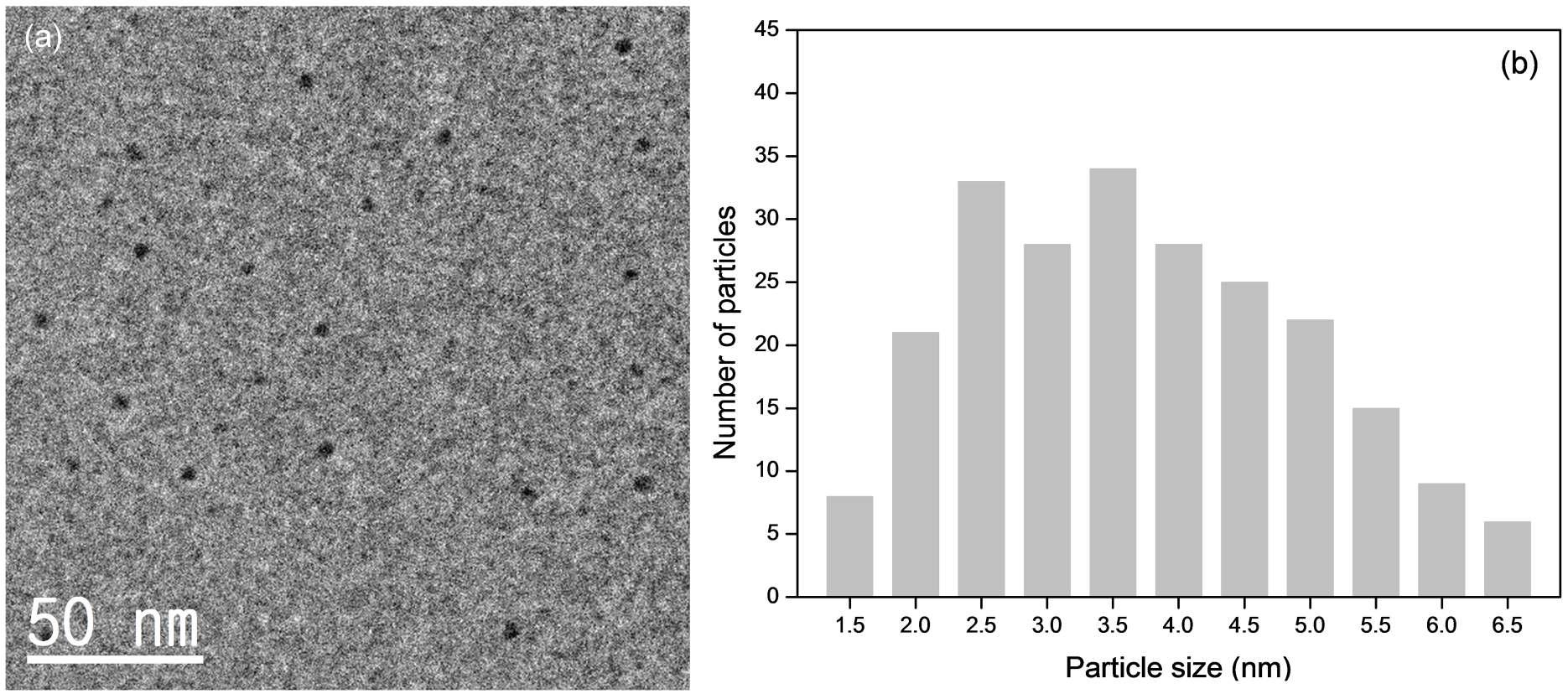 Bright field TEM image (a) and the size distribution of the nanoparticles (b).