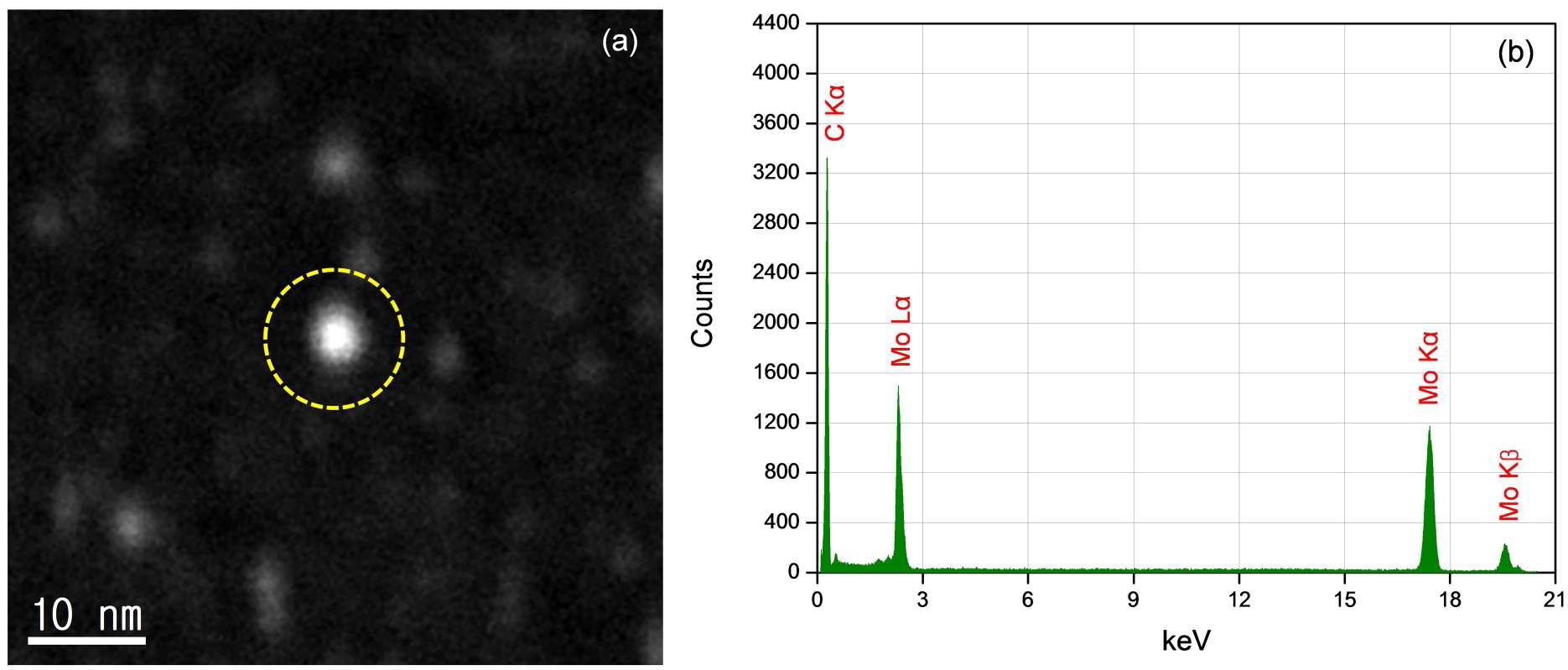 HAADF STEM image of the nanoparticles (a) and the EDS spectrum measured on the nanoparticle (b). The dotted yellow circle in (a) indicates the measured nanoparticle.